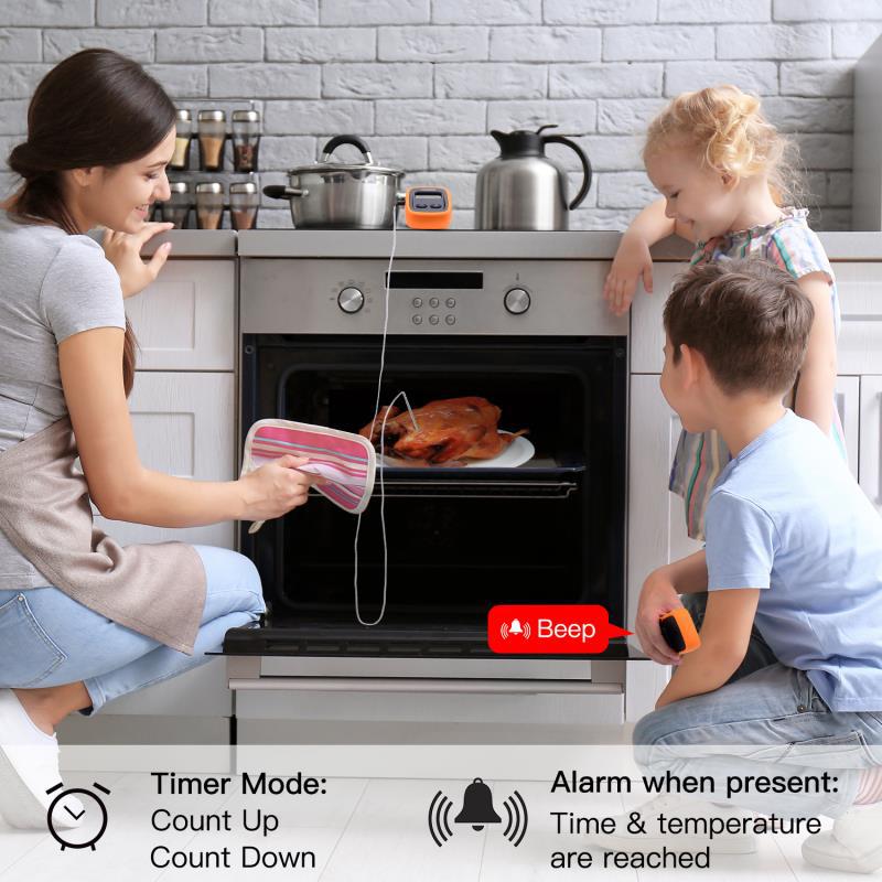 Novo Termômetro Digital Sem Fi - Meat Thermometer Camp avaliação e preço